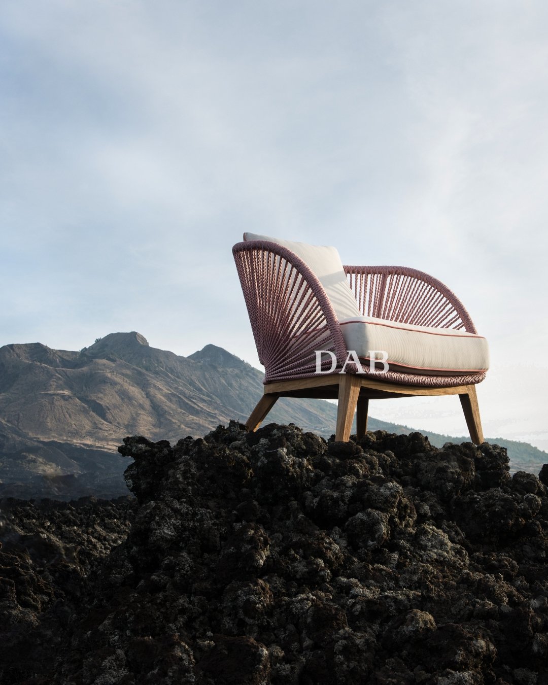 The stars collection