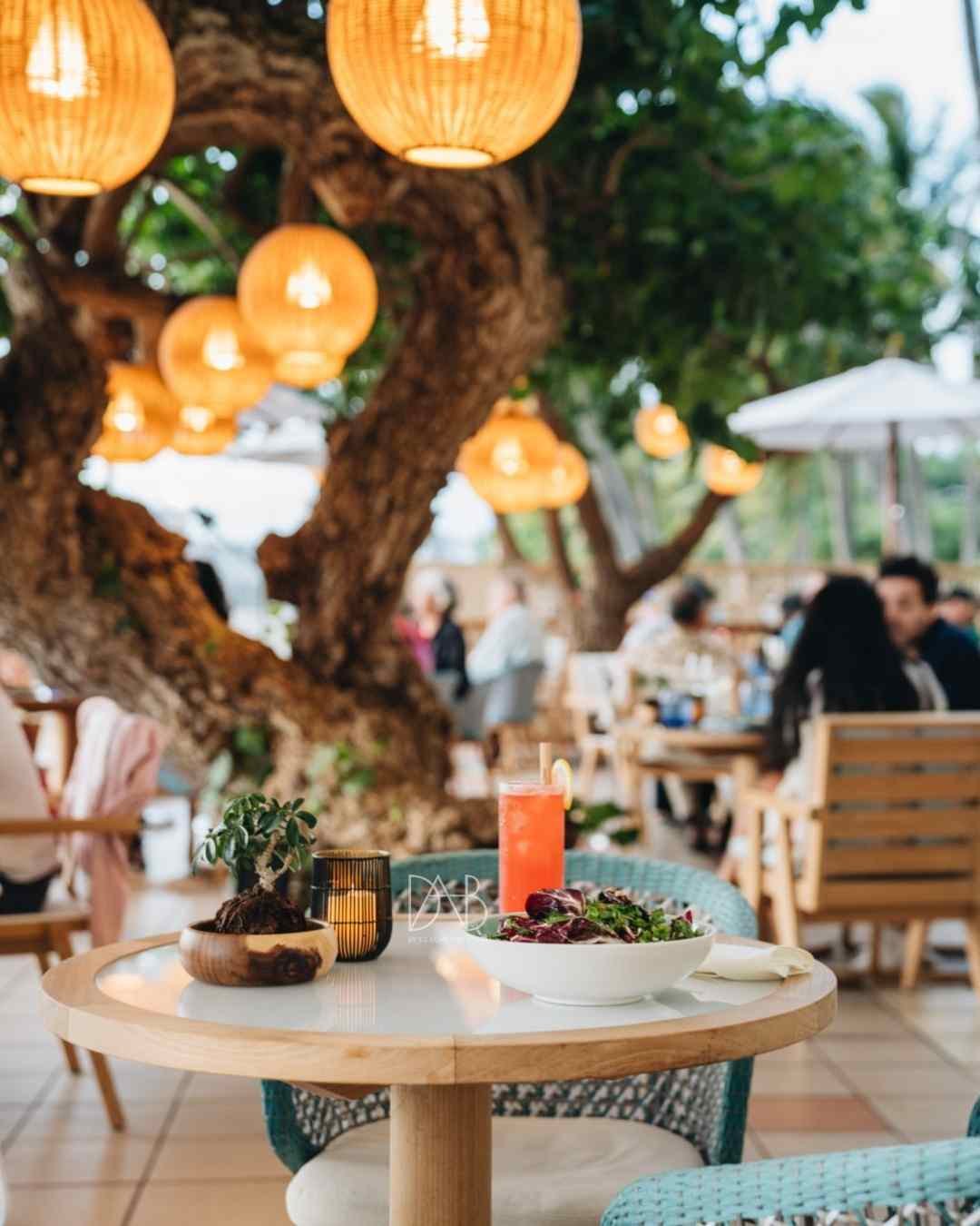 Stylish outdoor furniture options for wholesale purchase.